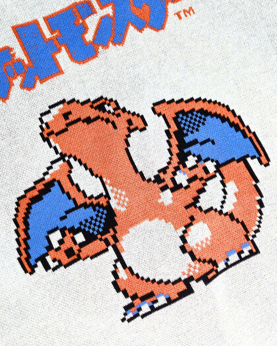 Charizard Varsity Cardigan